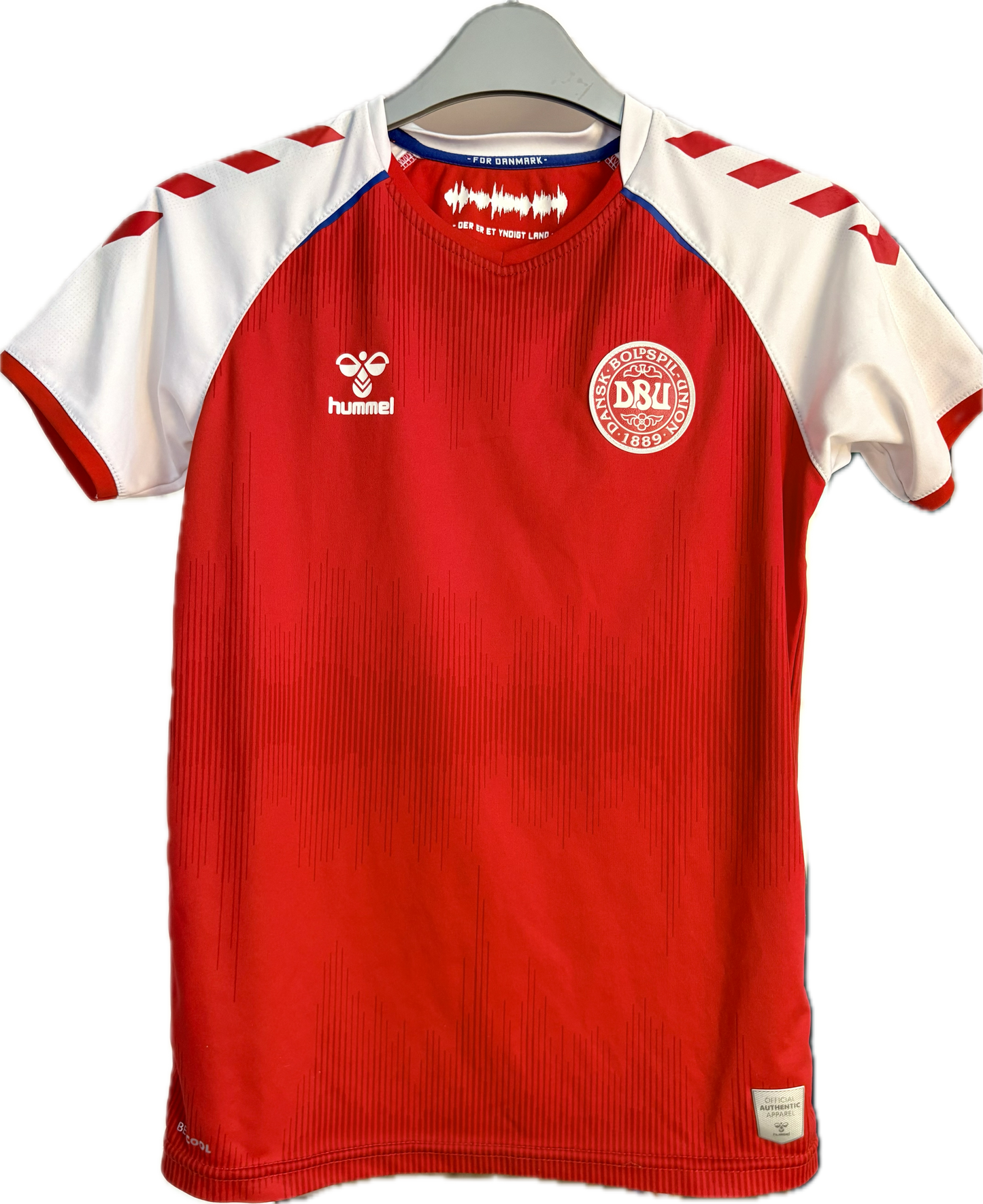 Danmark landsholdstrøje 2020