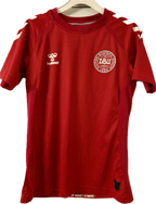 Danmark DBU fodboldtrøje 2020