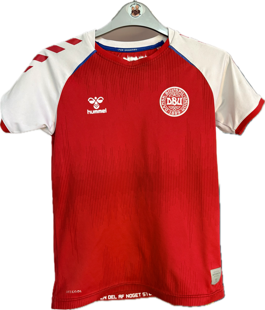 Danmark DBU fodboldtrøje 2020