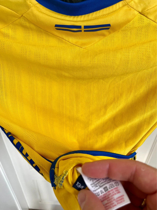Sverige fodboldtrøje 2013