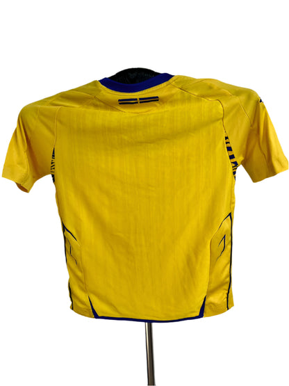 Sverige fodboldtrøje 2013