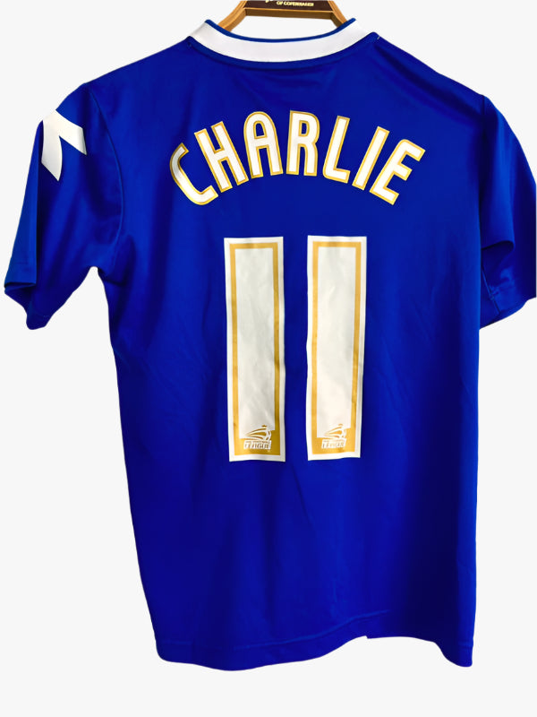 Birmingham city fodboldtrøje 2013