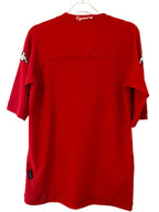 Wales fodboldtrøje 2000