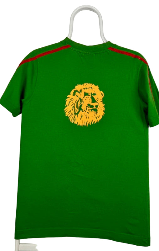 Cameroun fodboldtrøje