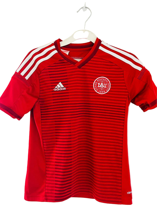 Danmark DBU fodboldtrøje - 2013