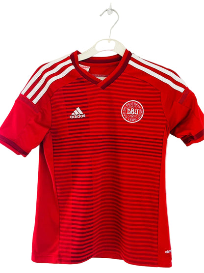 Danmark DBU fodboldtrøje - 2013