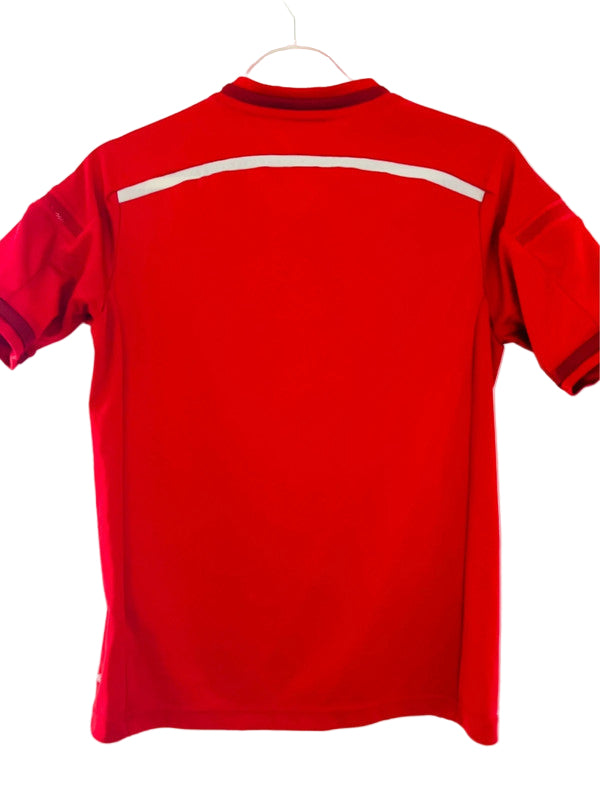 Danmark DBU fodboldtrøje 2013