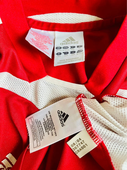 DBU Danmark fodboldtrøje + shorts 2004