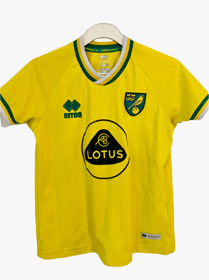 Norwich fodboldtrøje - 2020
