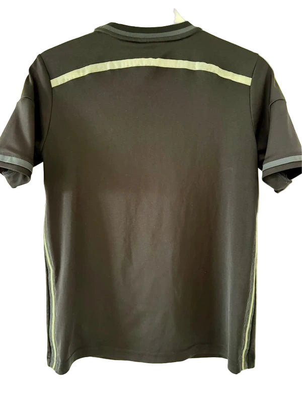 Spanien fodboldtrøje 2013