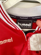 Danmark DBU Allan Nielsen 2000