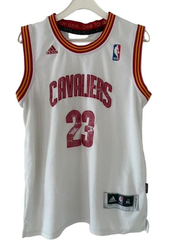 LeBron James #23 Cleveland Cavaliers NBA