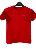 Danmark fodboldtrøje 2022