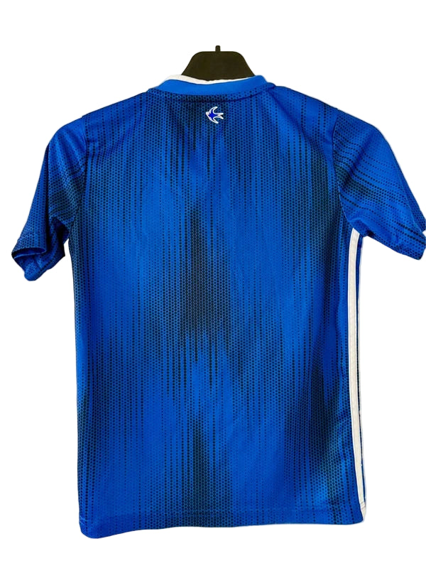 Cardiff City fodboldtrøje 2018/19