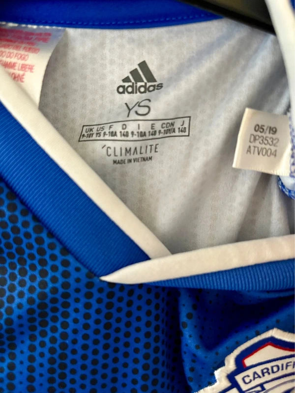 Cardiff City fodboldtrøje 2018/19