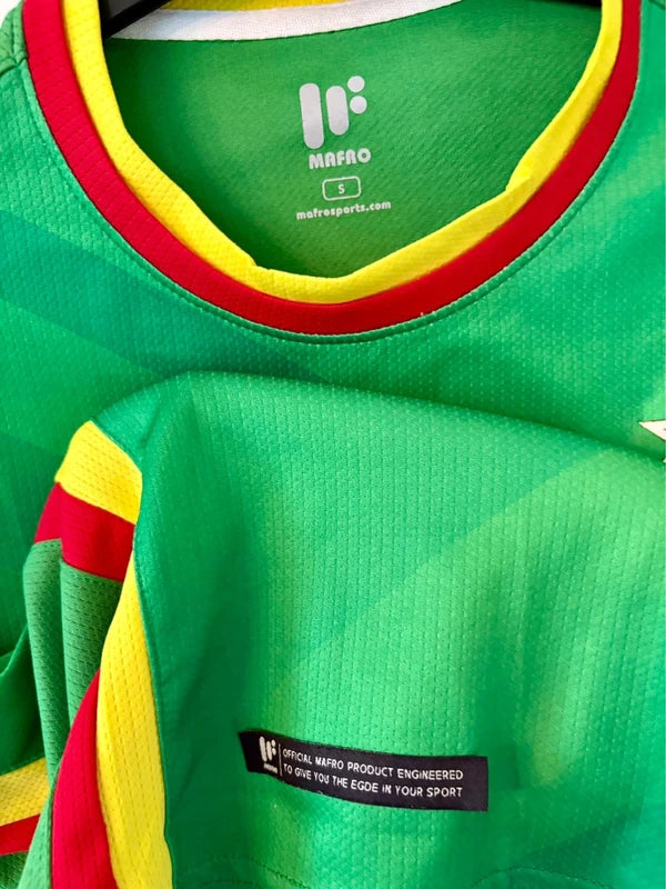 Zimbabwe fodboldtrøje 2017/20