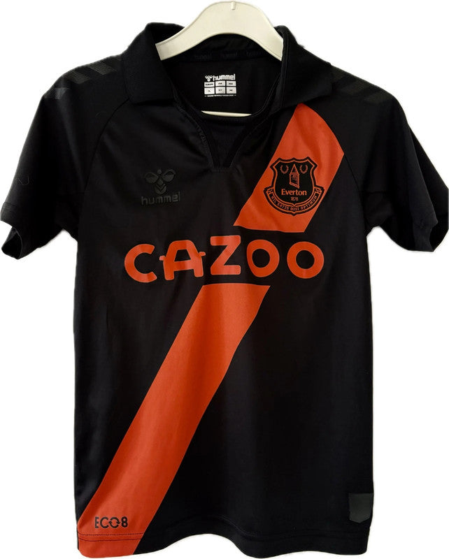 Everton fodboldtrøje 2021