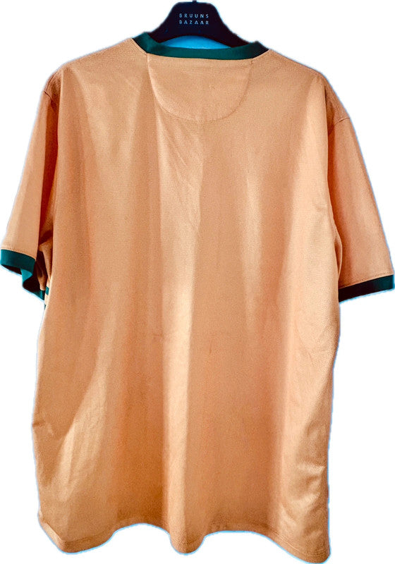 Celtic fodboldtrøje 2013