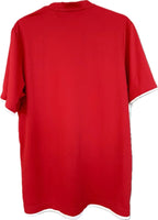 Danmark DBU fodboldtrøje 2010