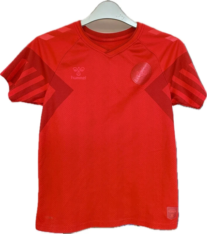 Danmarks landshold fodboldtrøje 2022 – Hummel, str. 10 år / 140 cm