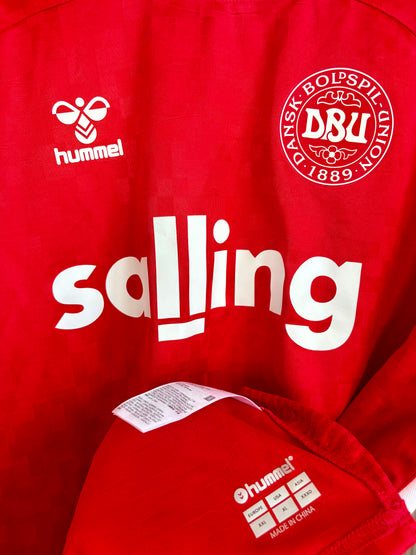 Danmark DBU fodboldtrøje 2024