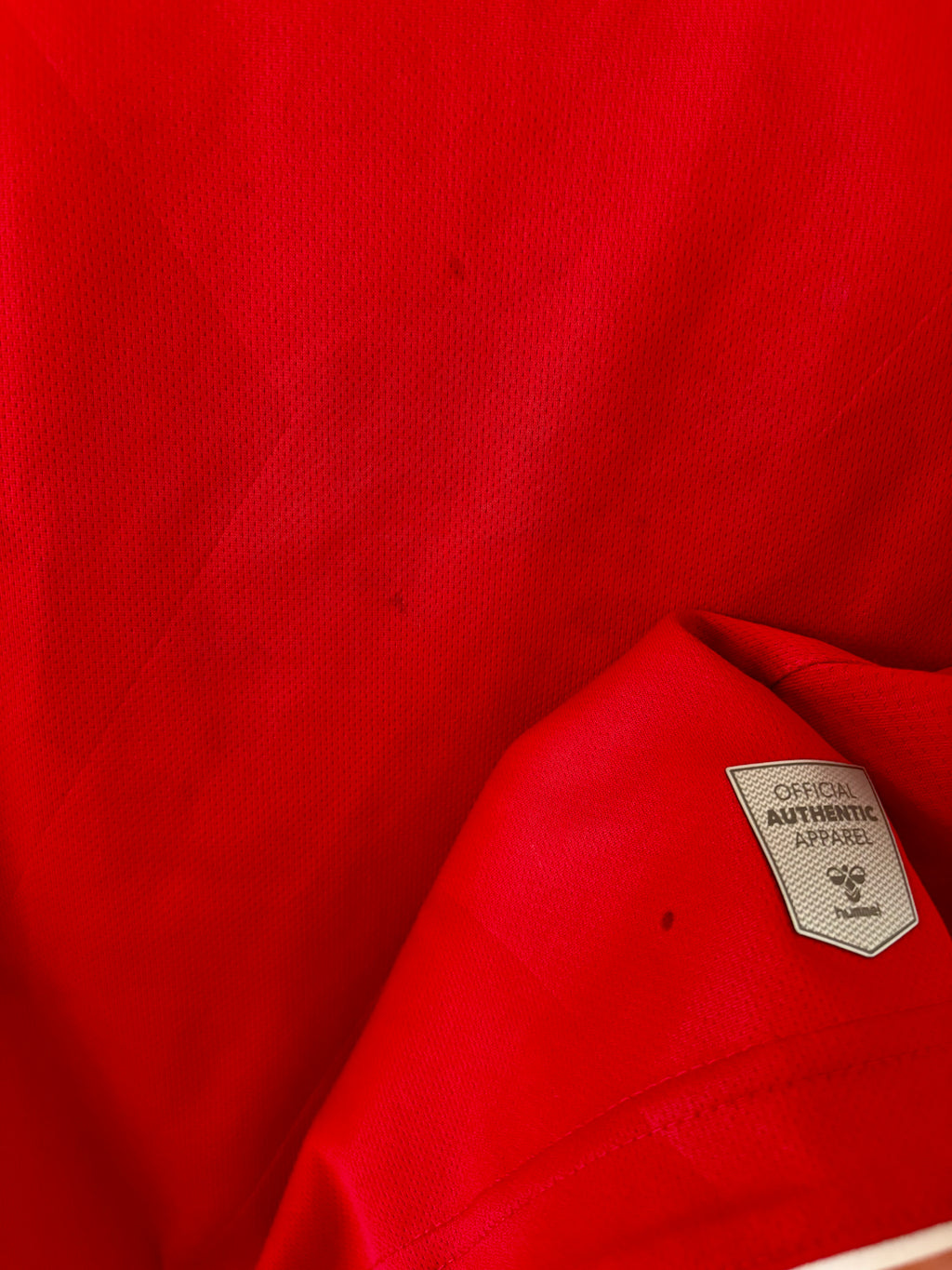 Danmark DBU fodboldtrøje 2022