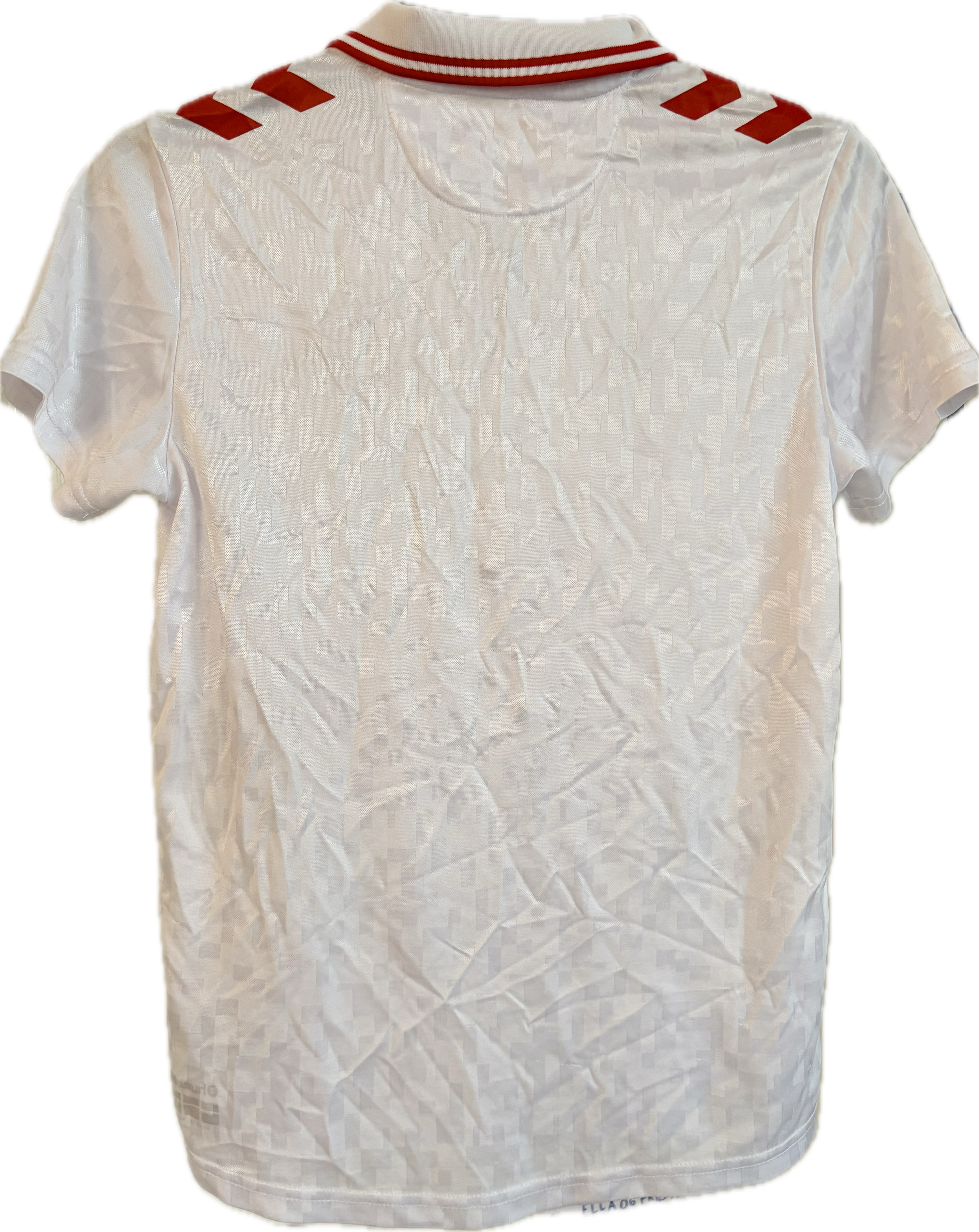 Danmark DBU fodboldtrøje 2024