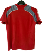 Danmark DBU fodboldtrøje 2008