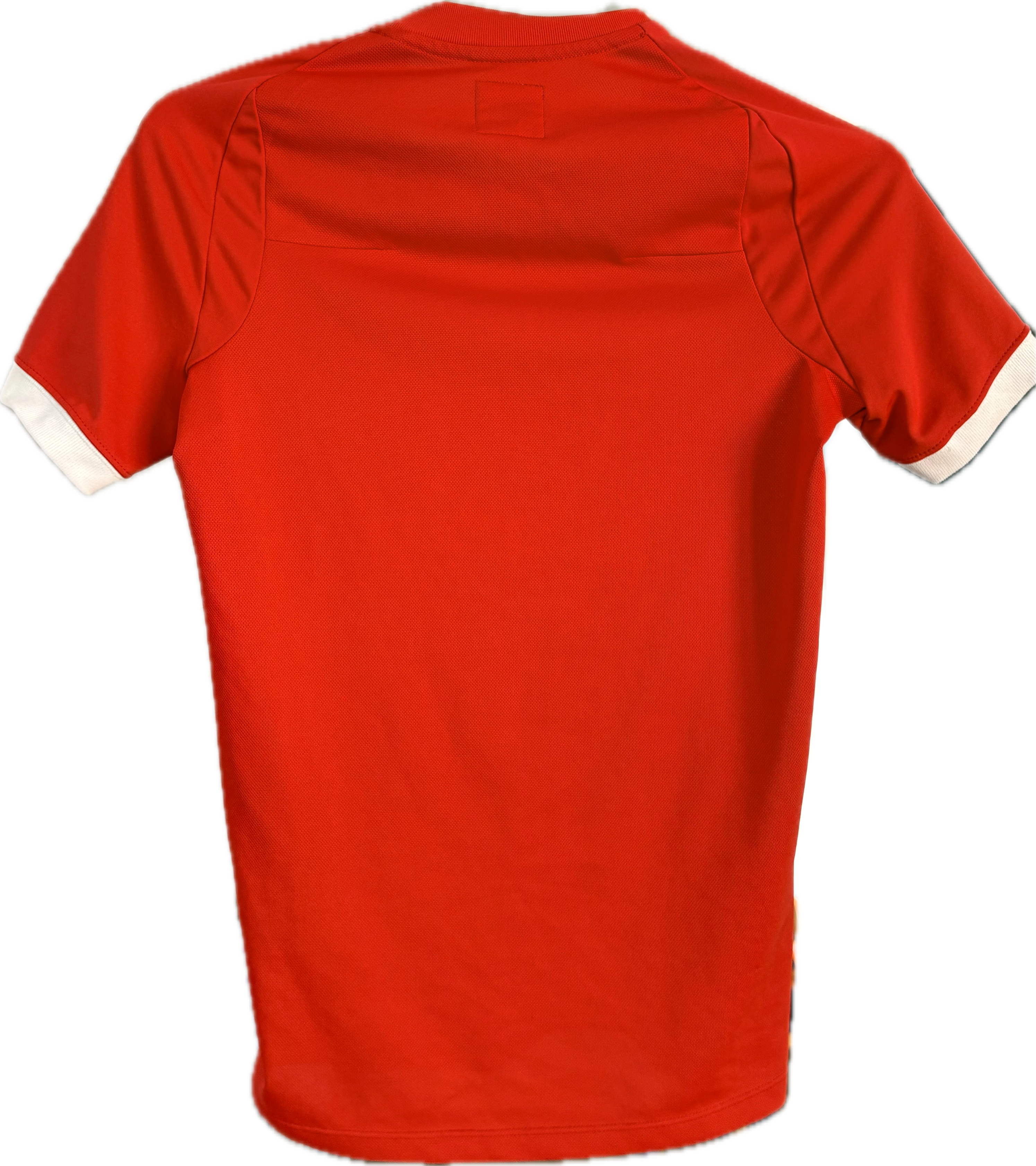 England fodboldtrøje 2010