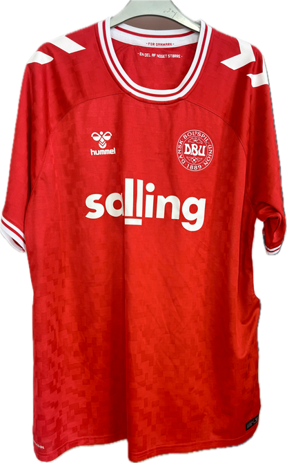 Danmark DBU fodboldtrøje 2024