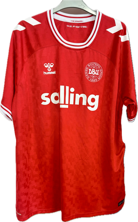 Danmark DBU fodboldtrøje 2024