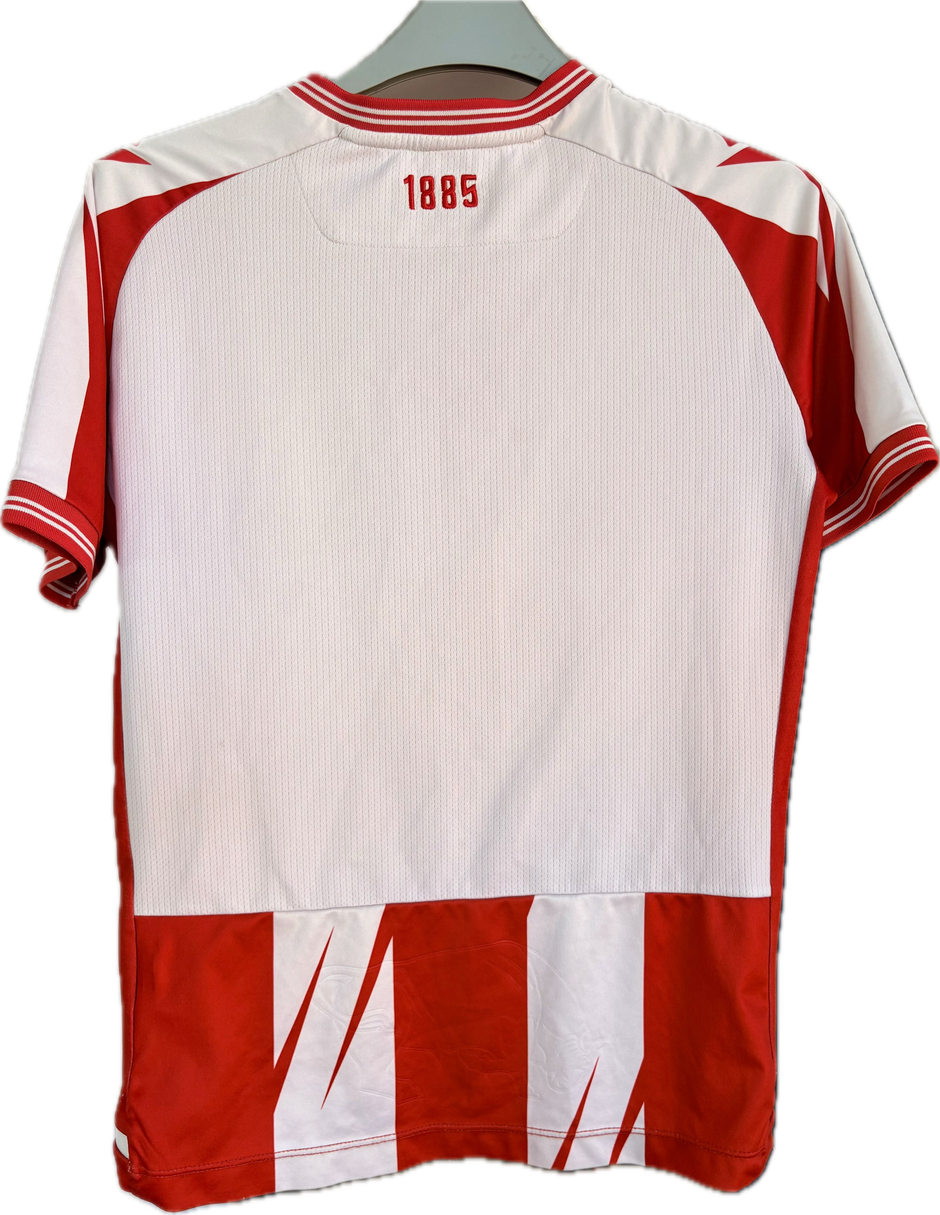 AaB fodboldtrøje 2021