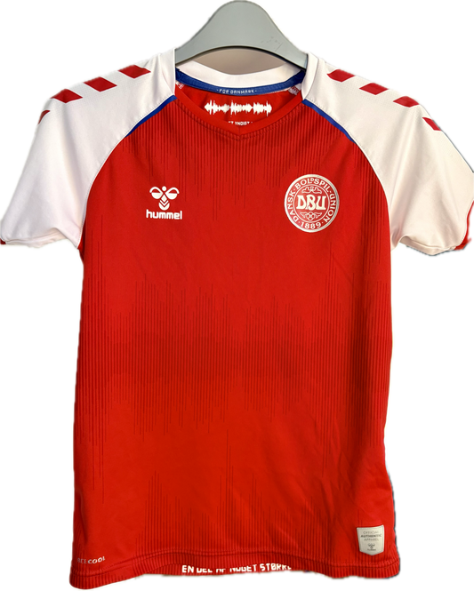 Danmark landsholdstrøje 2020