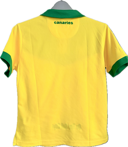 Norwich City fodboldtrøje 2014