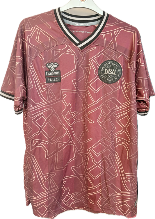 Dänemark Fußballtrikot 2024