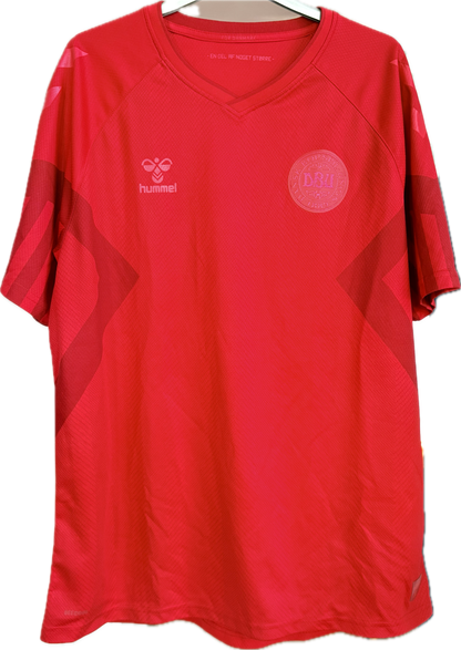 Danmark fodboldtrøje 2022