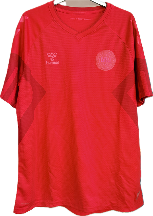 Danmark fodboldtrøje 2022