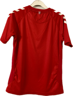 Danmark DBU fodboldtrøje 2020