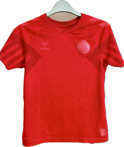 Danmark DBU fodboldtrøje 2022
