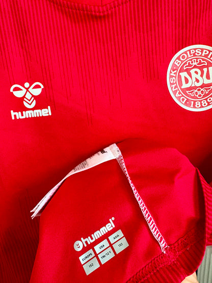 Danmark DBU fodboldtrøje 2021