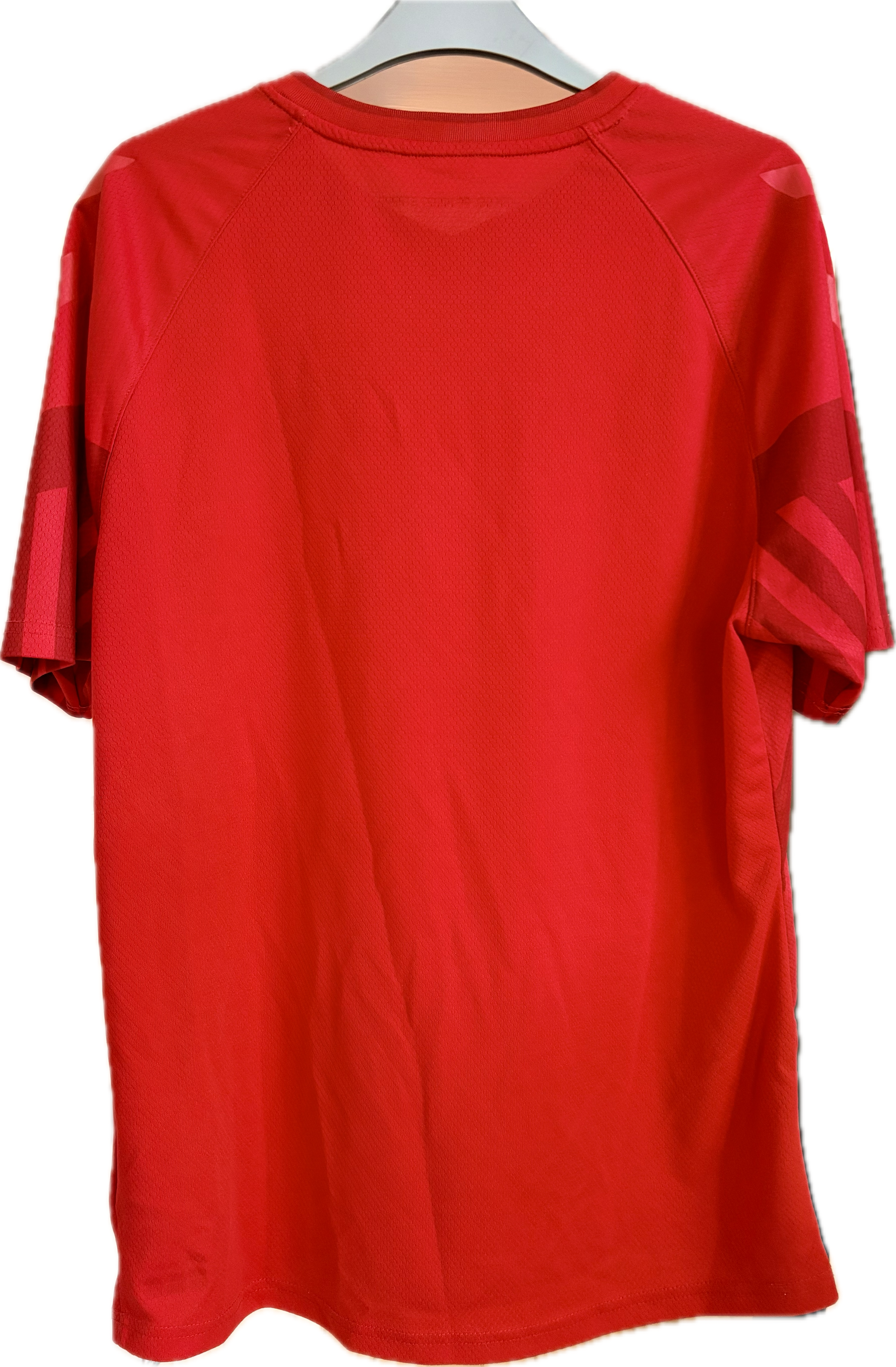 Danmark 🇩🇰 DBU fodboldtrøje 2022