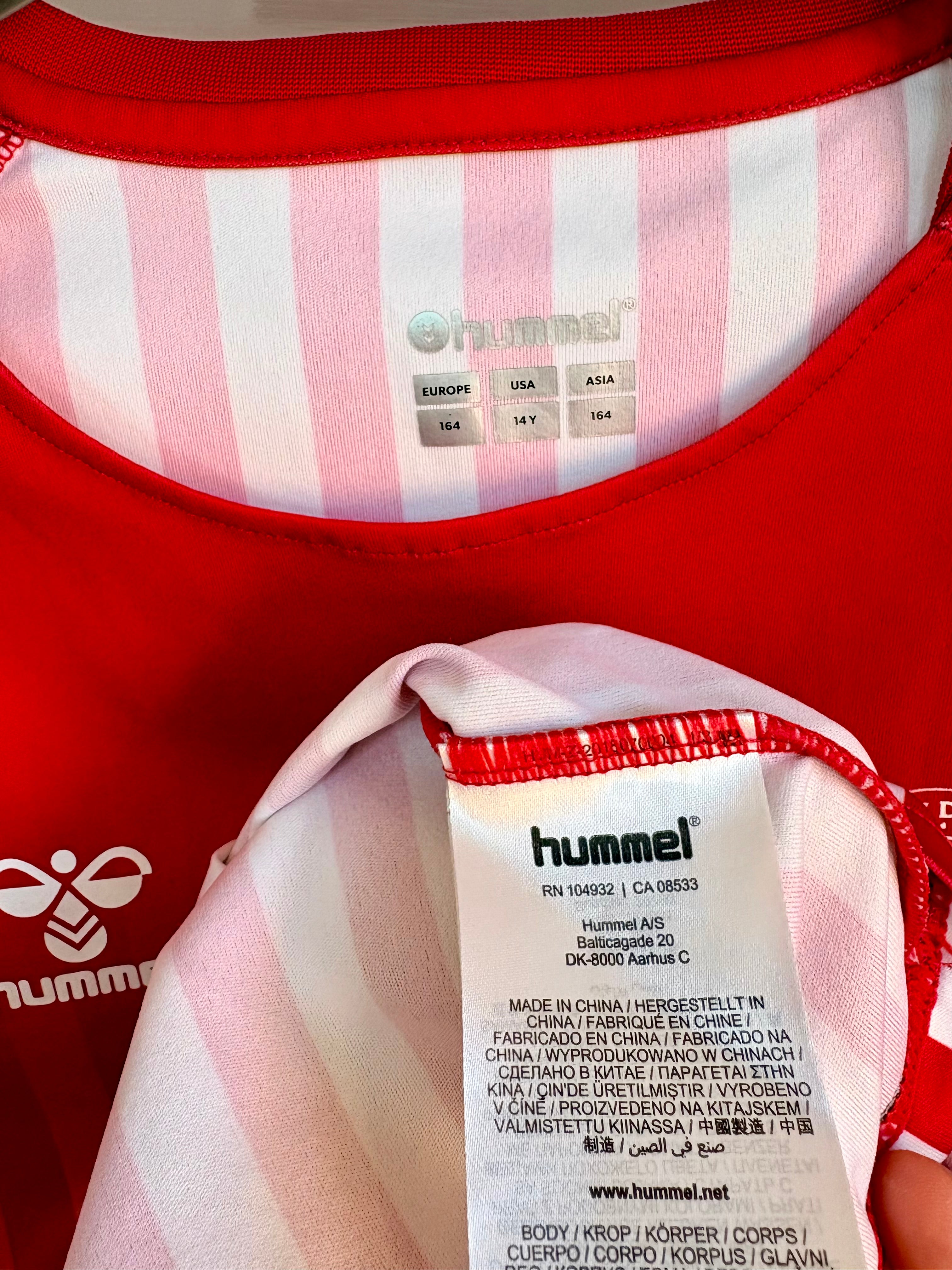 Danmark DBU fan fodboldtrøje 2020