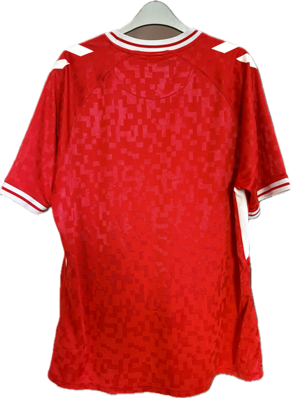 Danmark DBU fodboldtrøje 2024