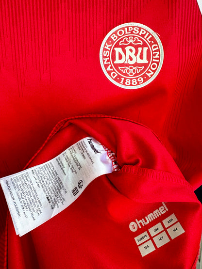 Danmark DBU fodboldtrøje 2020
