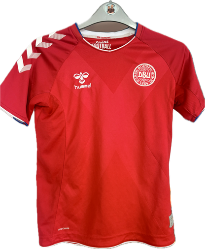 Danmark dbu fodboldtrøje 2020