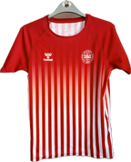 Danmark DBU fan fodboldtrøje 2020