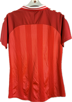 Danmark DBU fodboldtrøje 2025