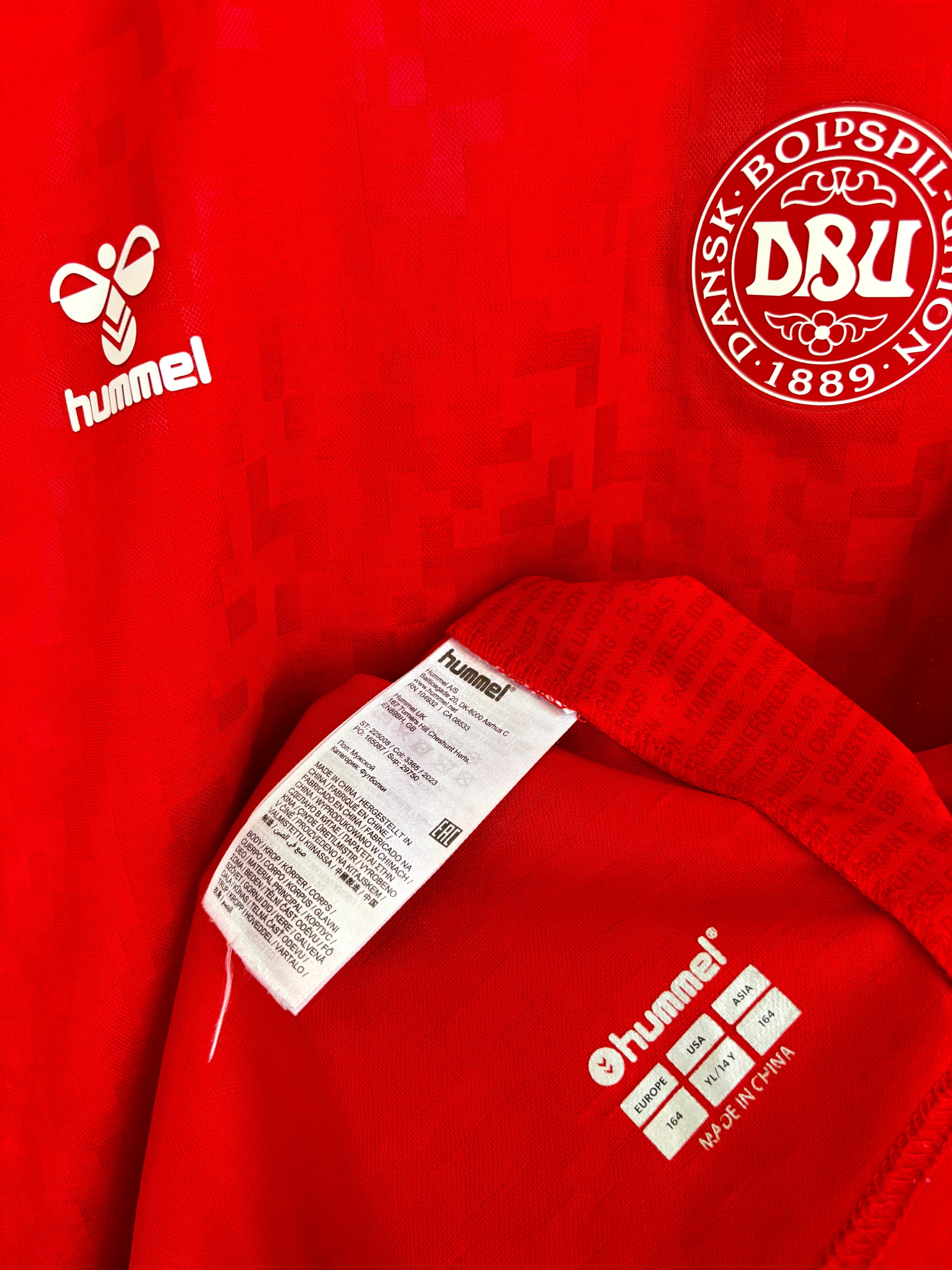 Danmark DBU fodboldtrøje 2024