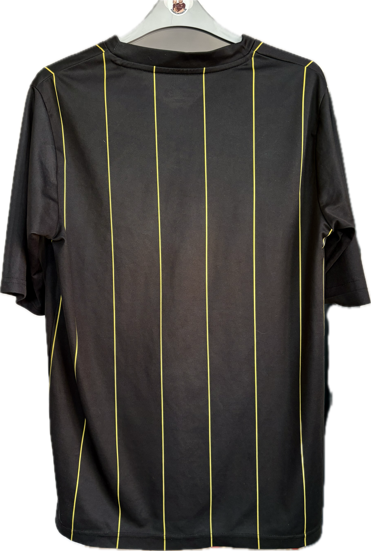 Sheffield Wednesday 2010