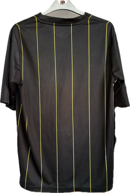 Sheffield Wednesday 2010